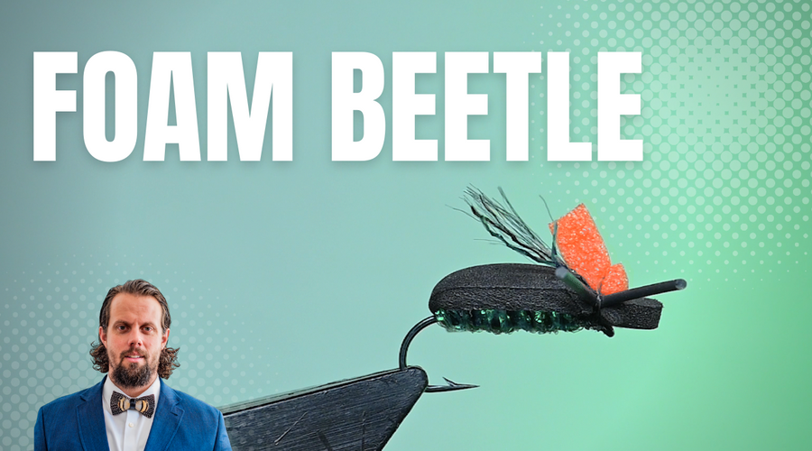 Flashy Foam Beetle Fly Pattern Tutorial
