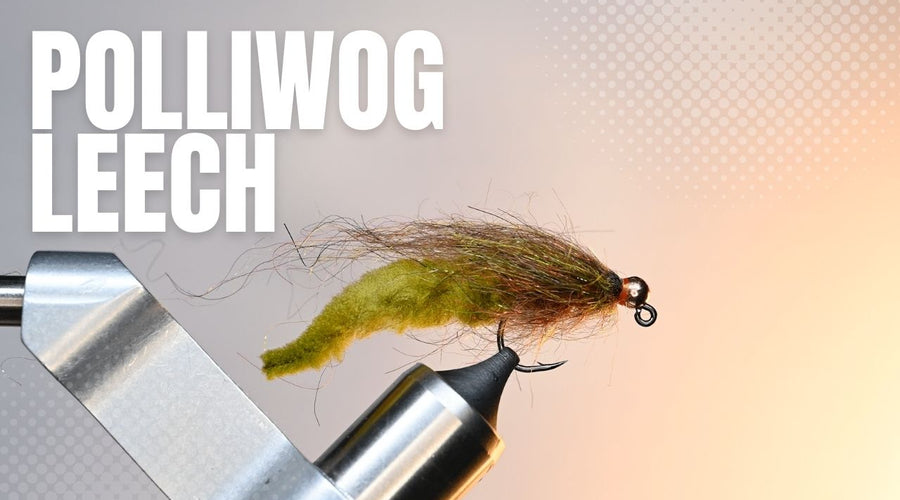 Polliwog Leech Fly Pattern