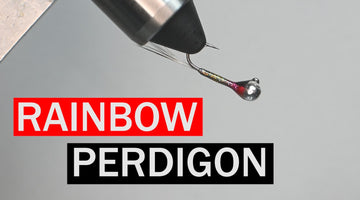 Rainbow Perdigon Fly Pattern Tutorial