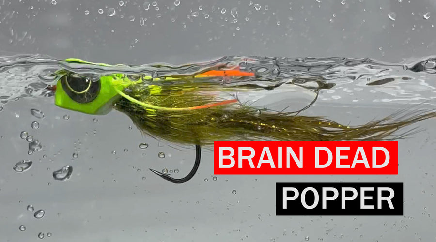 Brain Dead Popper Fly Pattern Tutorial by Svenddiesel