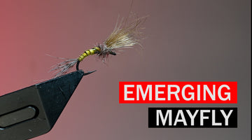 Emerging Mayfly Fly Pattern Tutorial