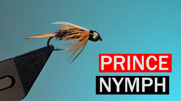 Prince Nymph Fly Pattern Tutorial