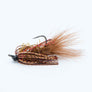 Skirted Creeper Fly