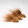 The Creepy Bug (Set of 3)