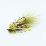 Skirted Creeper Fly