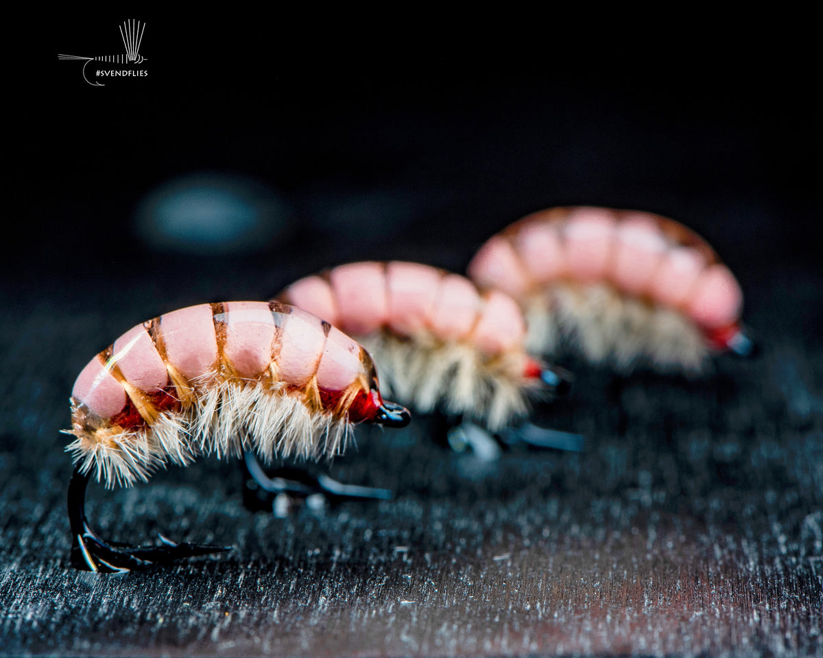 Fly Insect Hitter The Heavy Hitter Sow Bug Fly Step by Step Tutorial – Svenddiesel.com