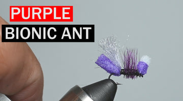 Purple Bionic Ant, A Lance Egan Fly Pattern