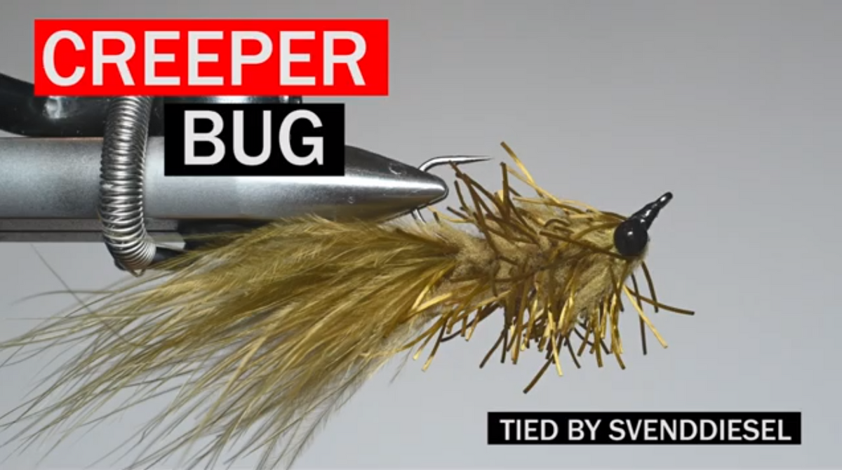 The Creeper Bug Pattern for Fly Fishing – Svenddiesel.com
