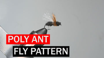 Poly Ant Fly Pattern Tutorial