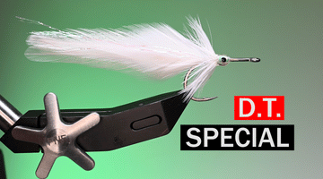 DT Special Fly Pattern Tutorial