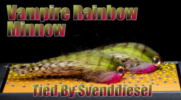The Vampire Rainbow Minnow Fly Pattern Tutorial