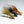 The Unweighted Creepy Bug (Set of 3)
