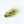 Skirted Creeper Fly